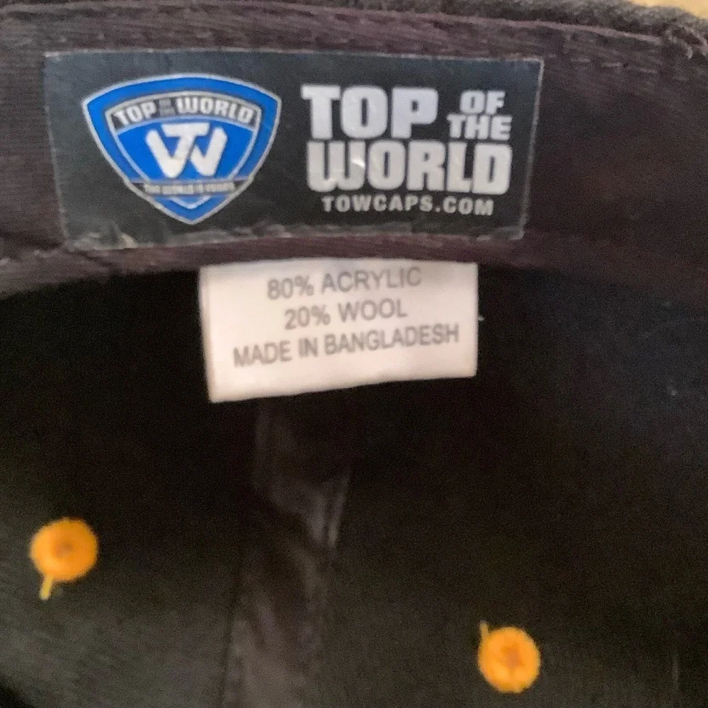 Golden Eagles Black Baseball Hat